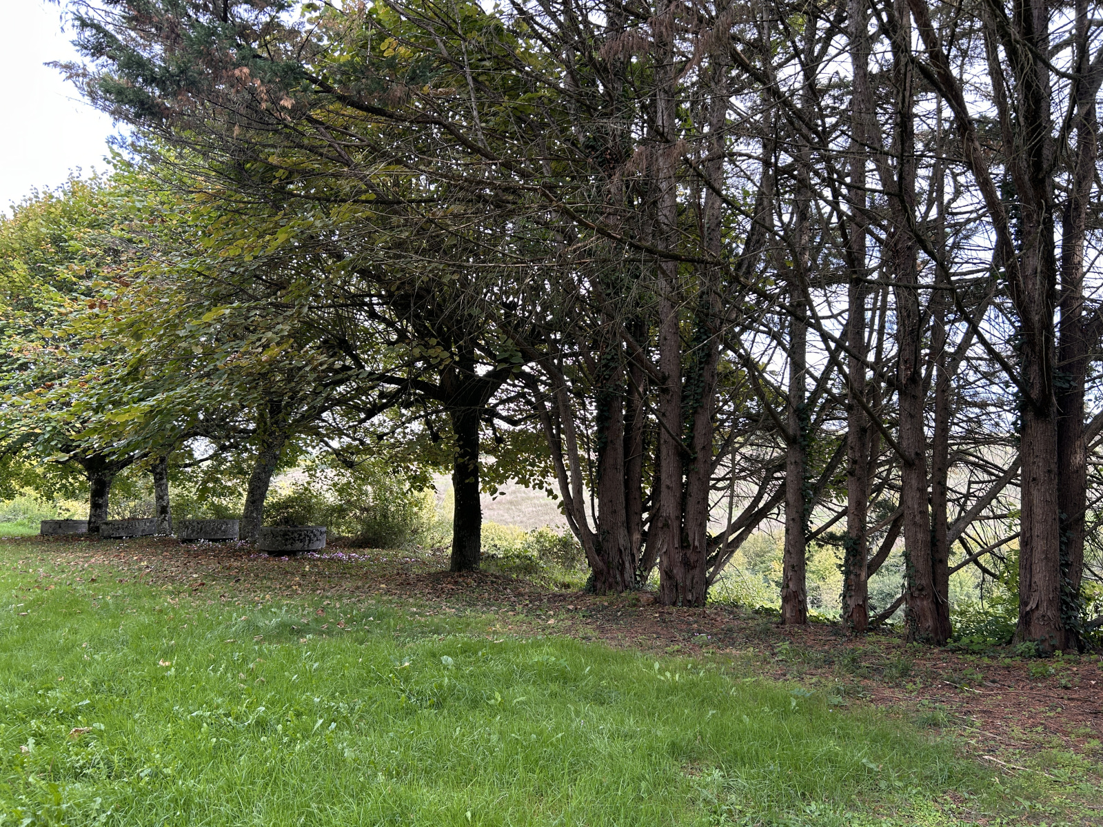 Image_, Maison, Le Grand-Pressigny, ref :2175N