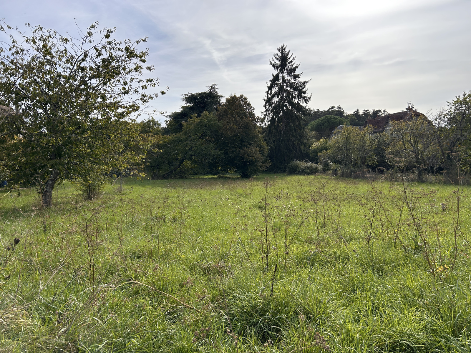 Image_, Maison, Le Grand-Pressigny, ref :2175N