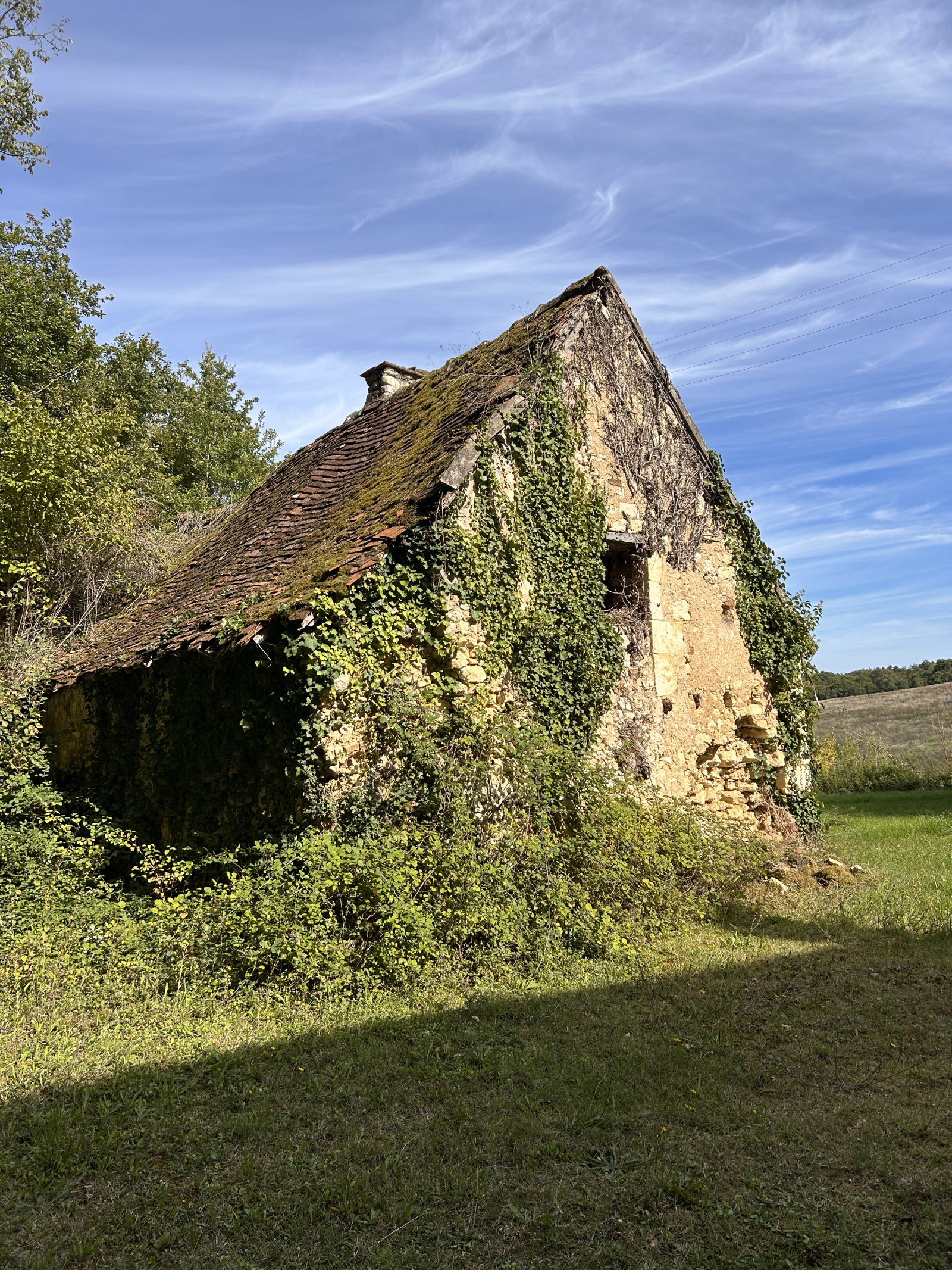 Image_, Maison, Le Grand-Pressigny, ref :2175N