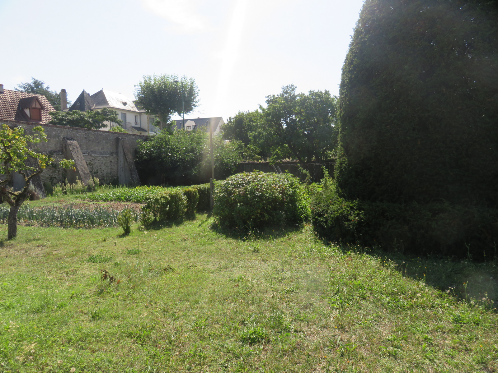 Image_, Maison, Selles-sur-Cher, ref :2077