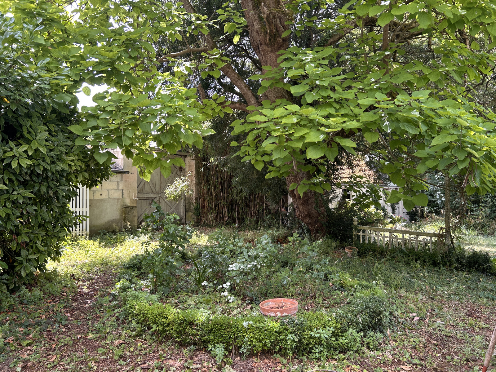 Image_, Maison, Loches, ref :2162N