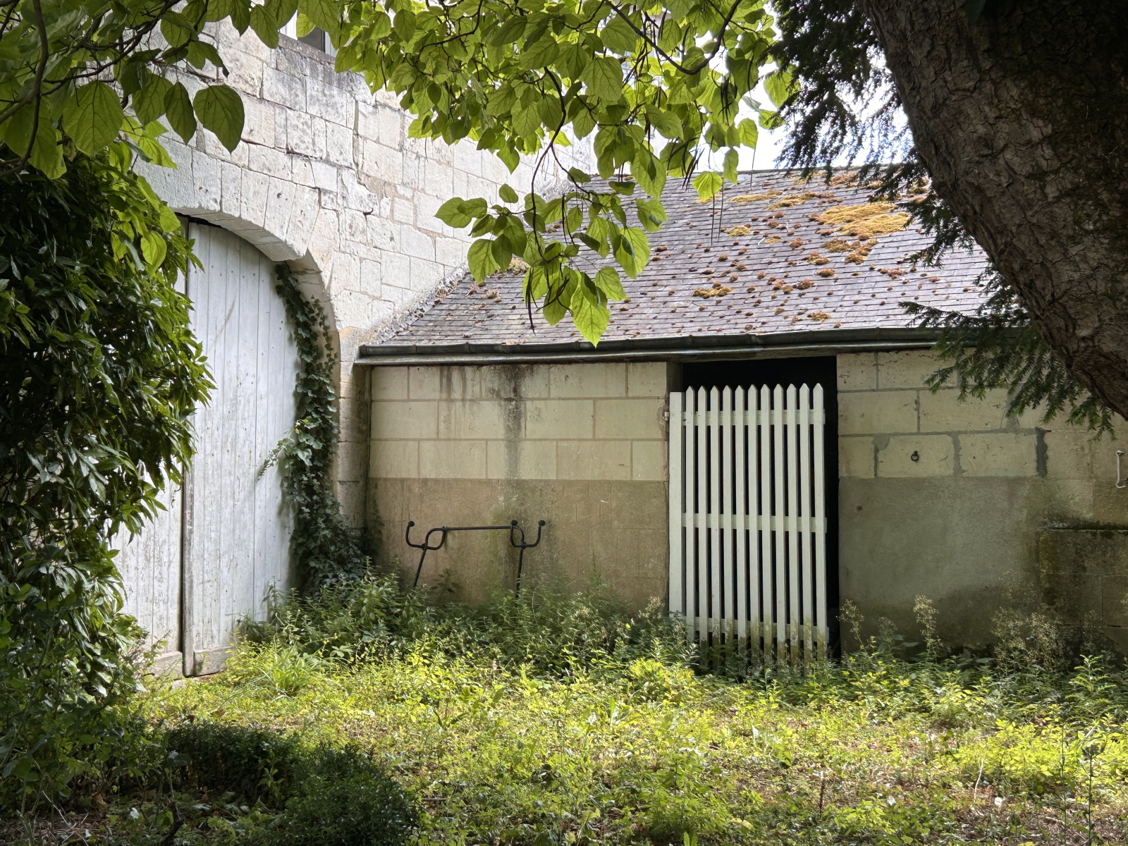 Image_, Maison, Loches, ref :2162N