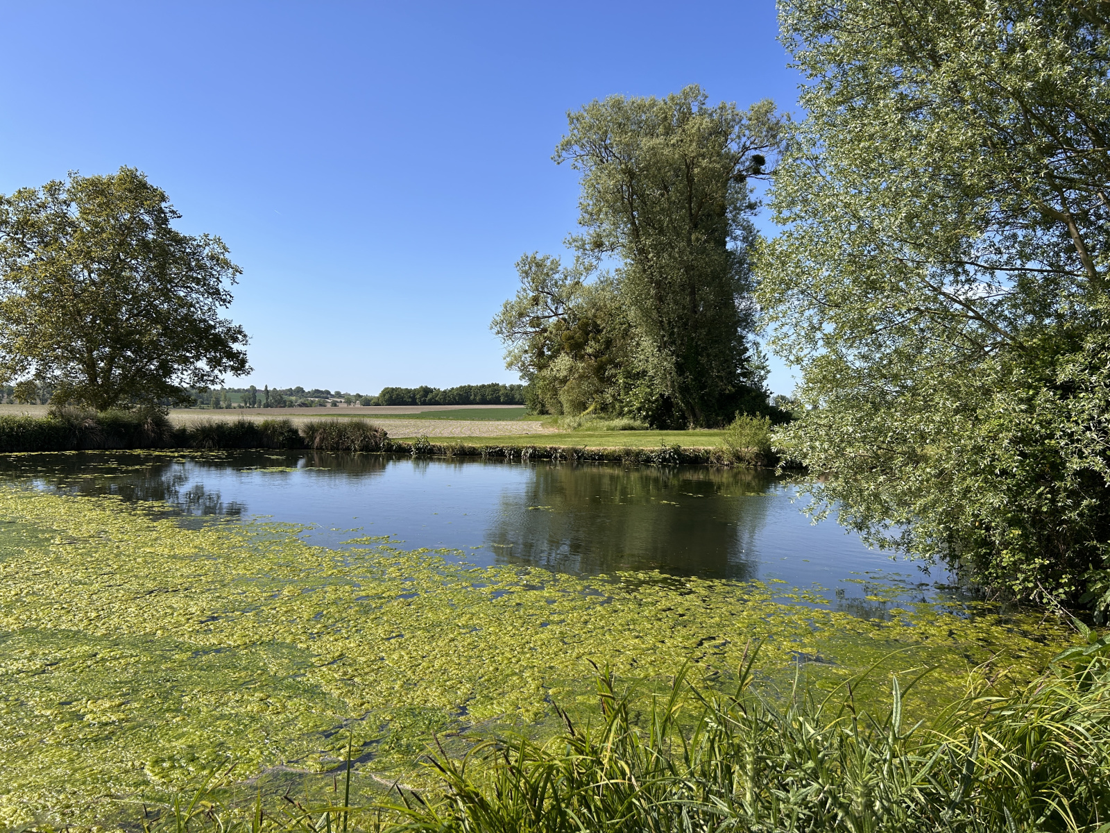 Image_, Propriete, Loches, ref :2150N