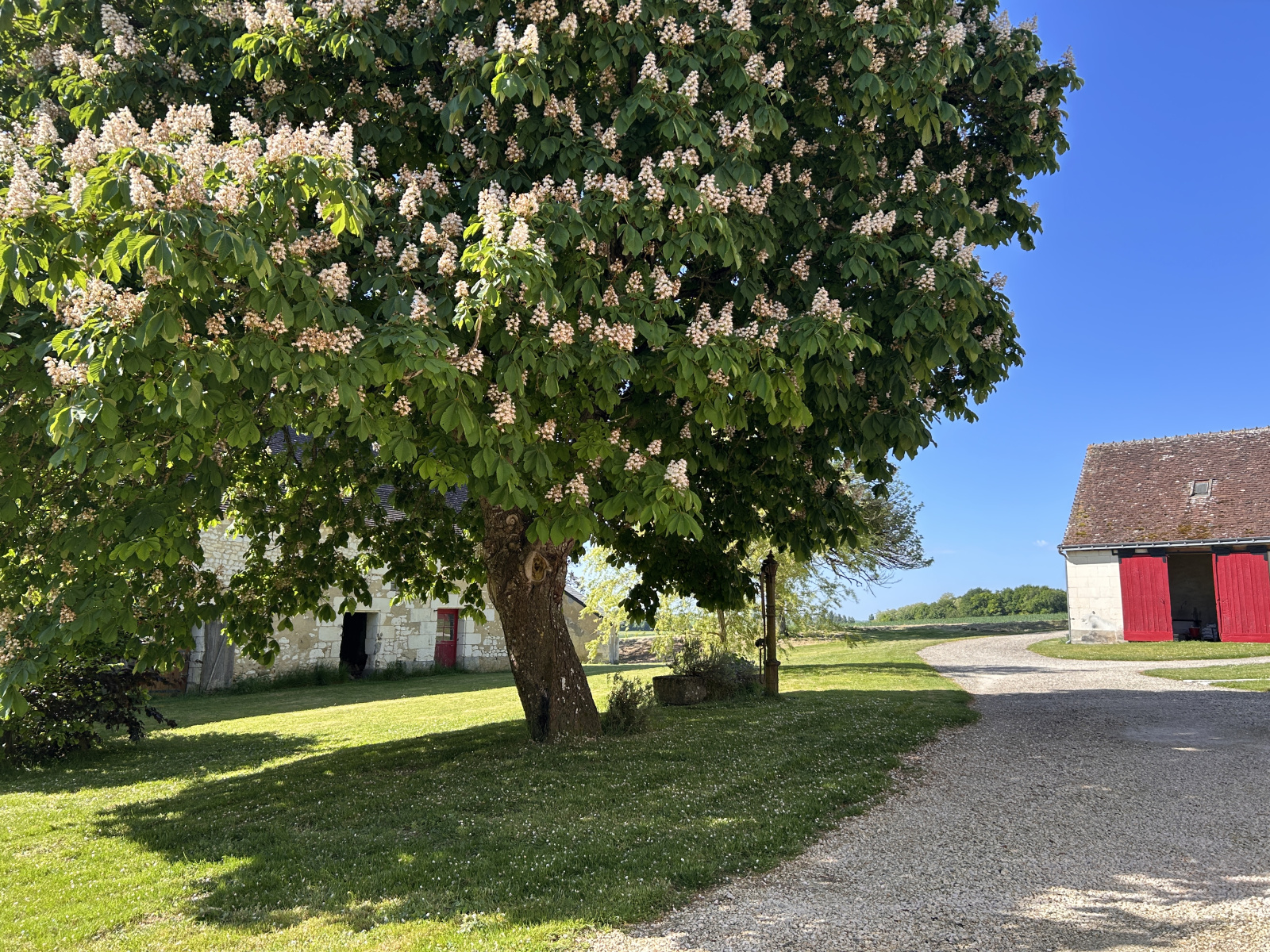 Image_, Propriete, Loches, ref :2150N