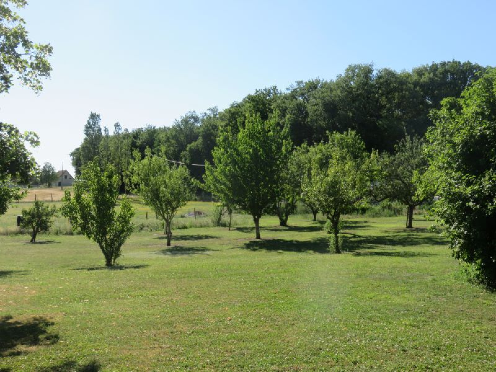 Image_, Propriete, Loches, ref :2043N