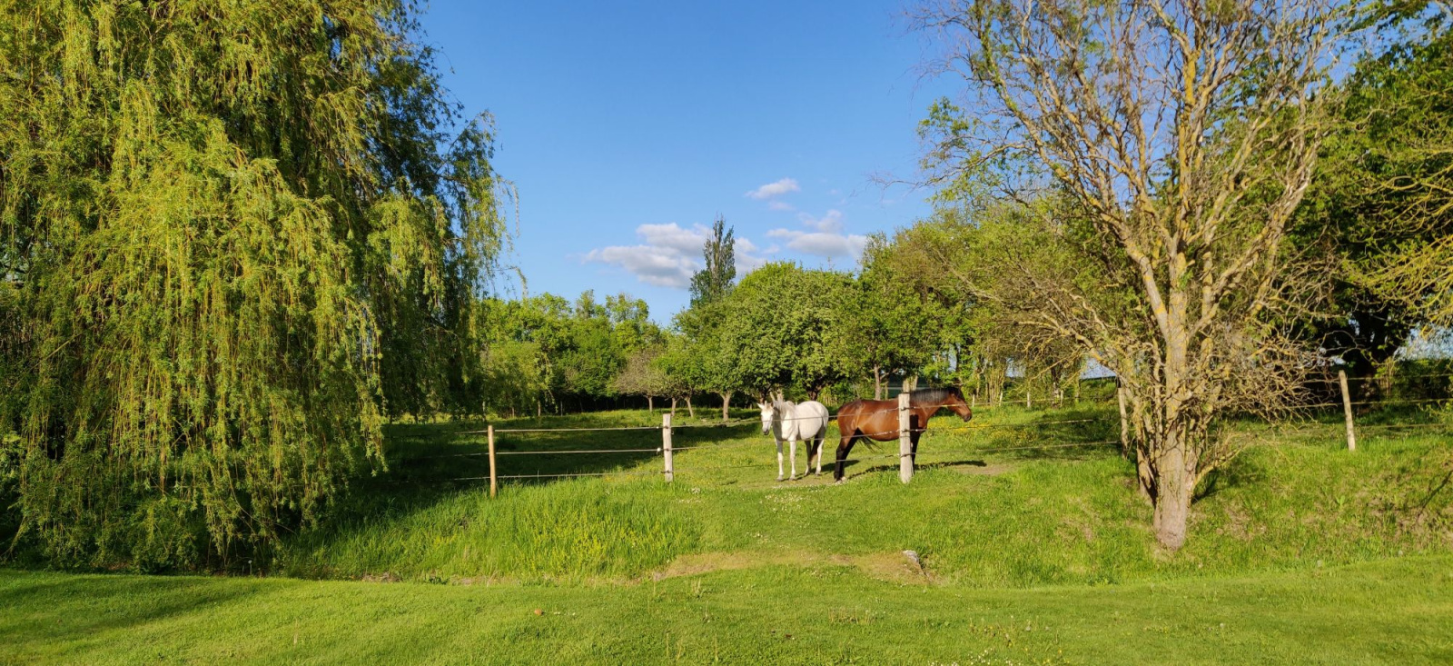 Image_, Propriete, Châtellerault, ref :2143N