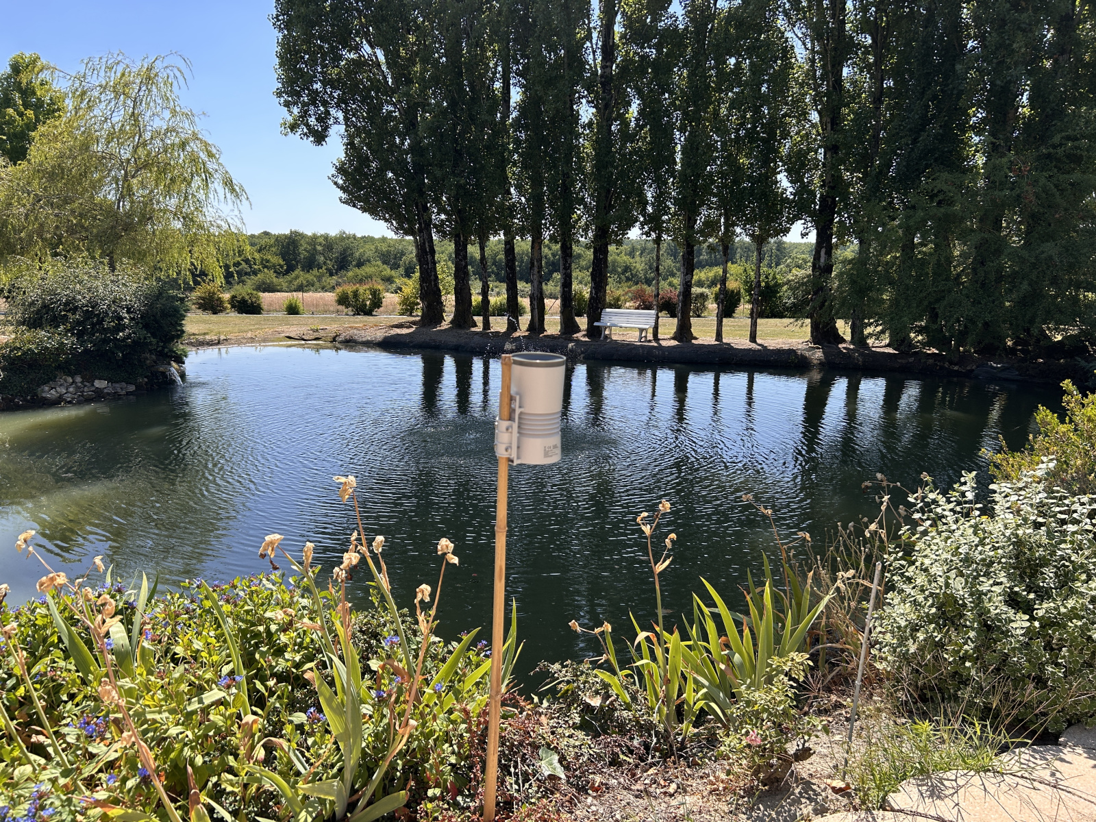 Image_, Propriete, Chemillé-sur-Indrois, ref :2166N