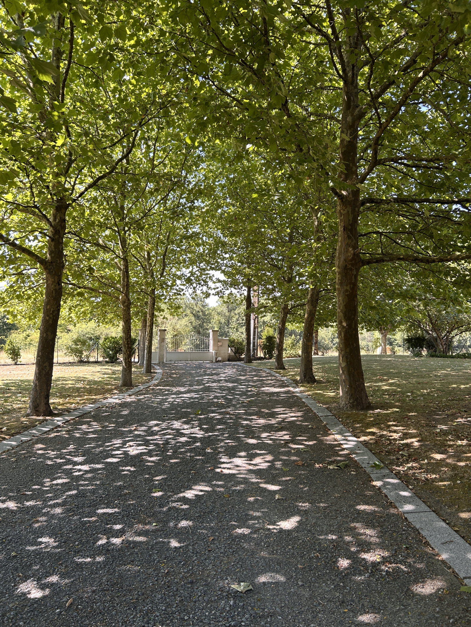 Image_, Propriete, Chemillé-sur-Indrois, ref :2166N
