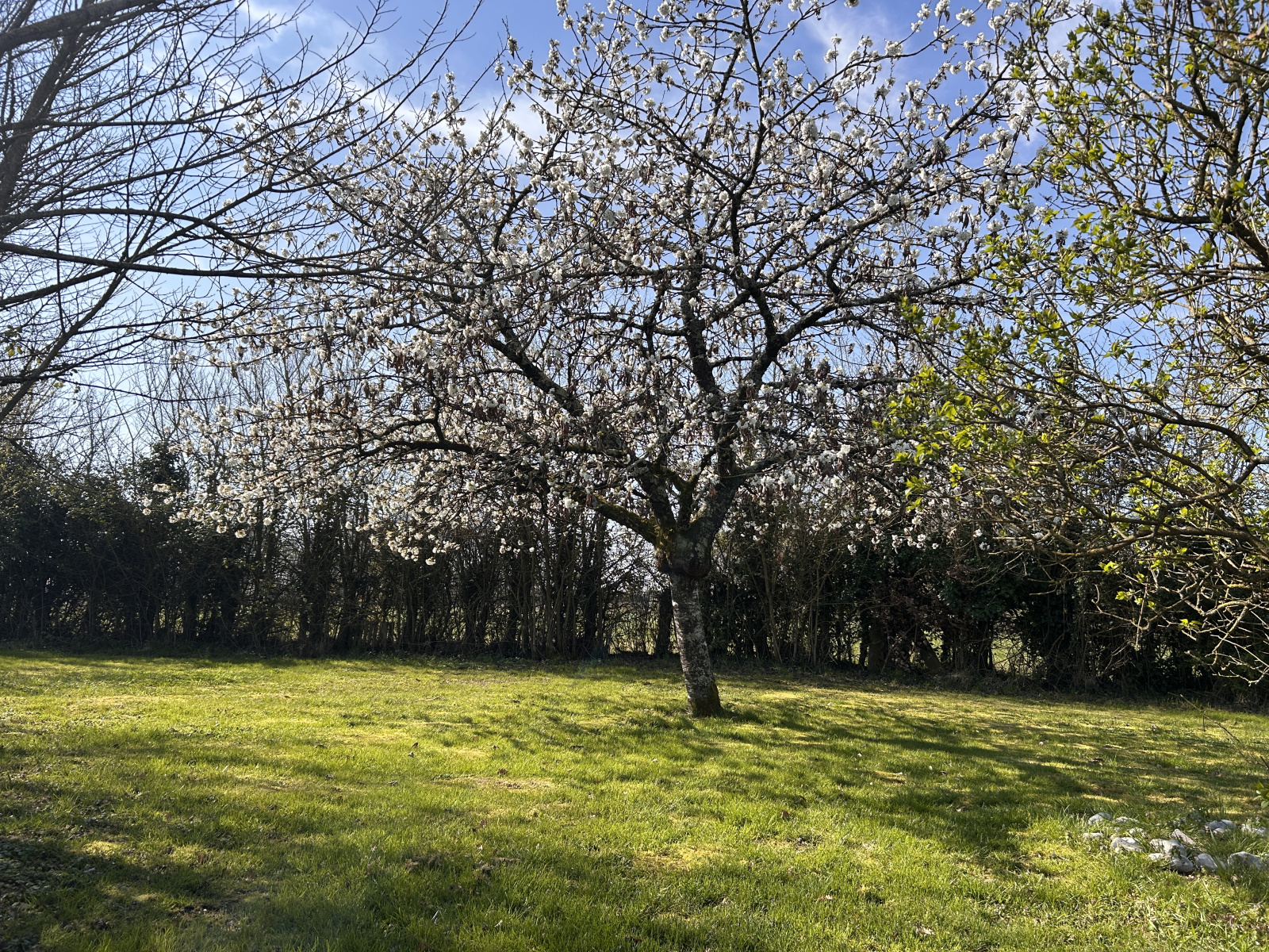 Image_, Maison, La Chapelle-Blanche-Saint-Martin, ref :2192N