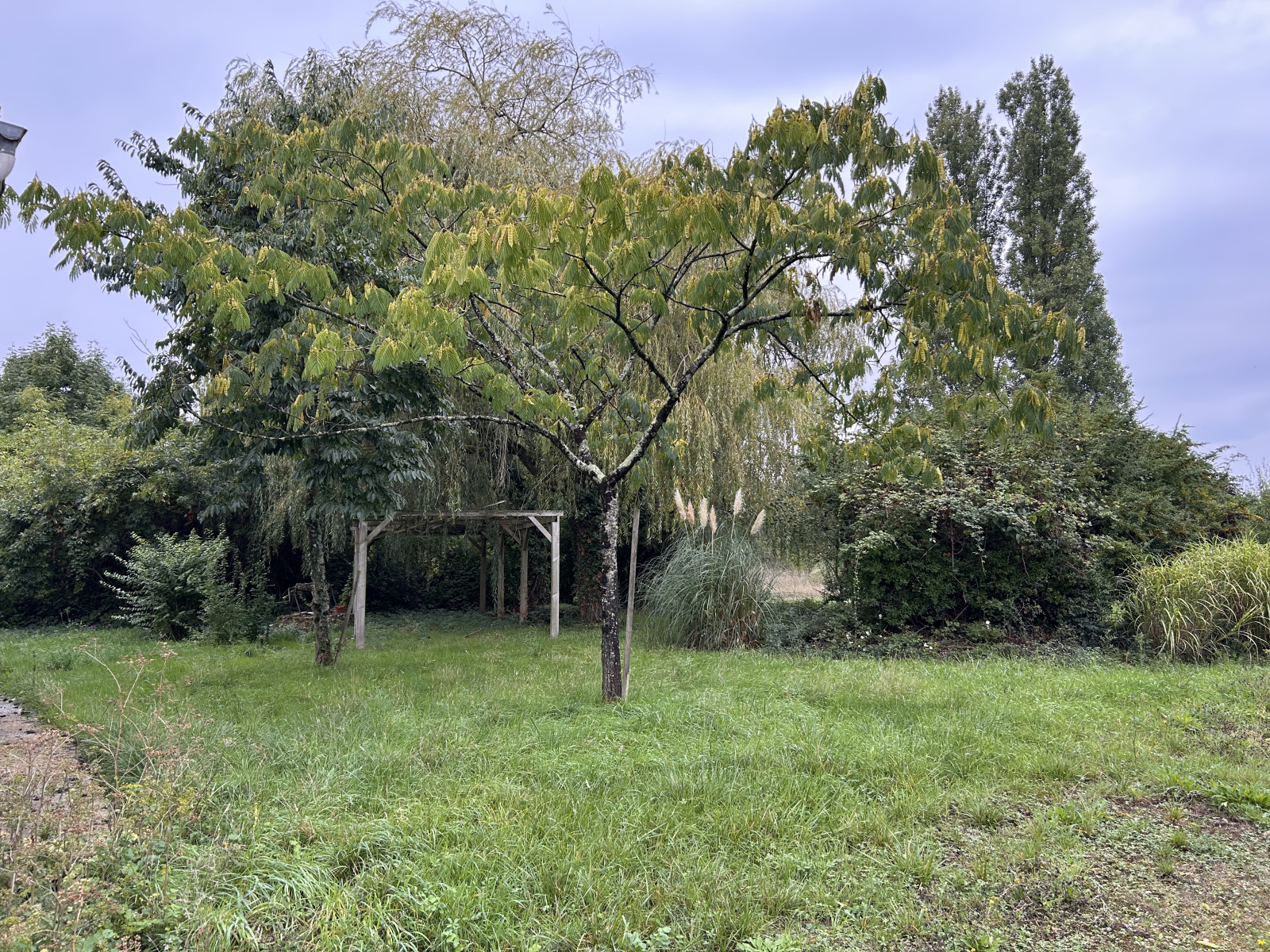 Image_, Maison, Loches, ref :2172N