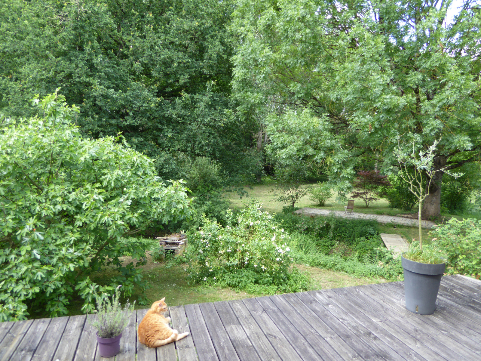 Image_, Maison, Orbigny, ref :2164N