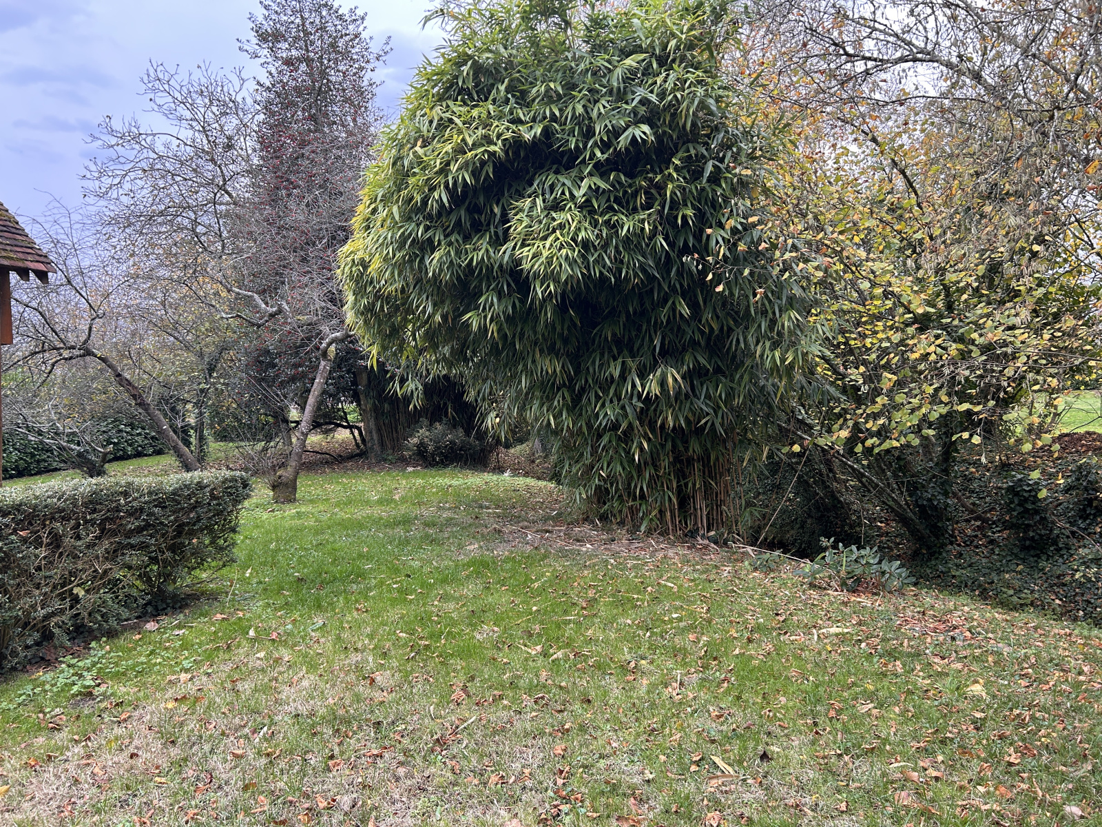 Image_, Maison, Perrusson, ref :2176N