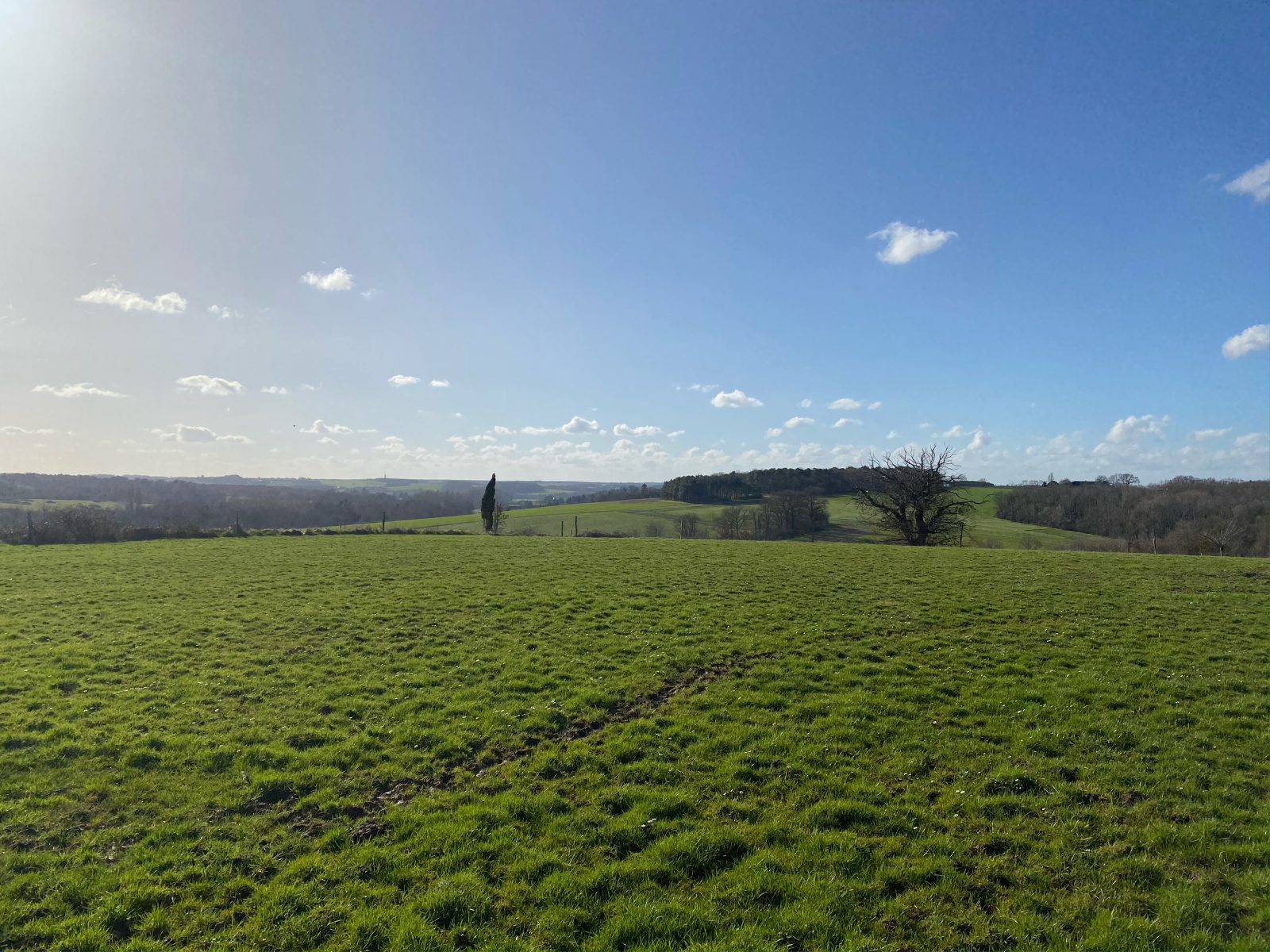 Image_, Propriete, Saint-Hippolyte, ref :2189N