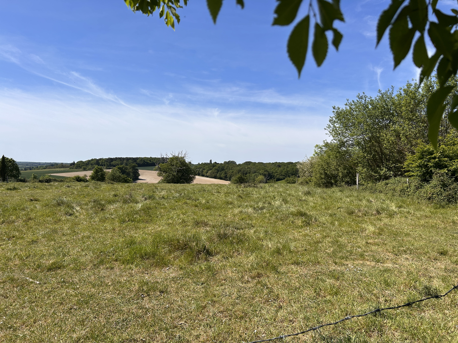 Image_, Propriete, Saint-Hippolyte, ref :2189N