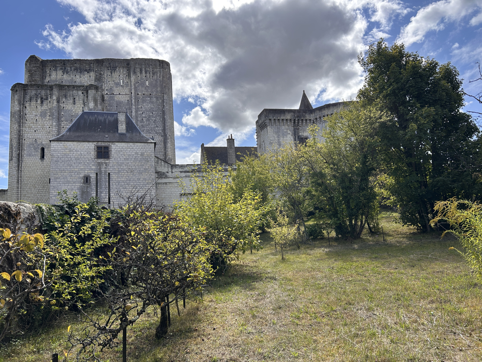 Image_, Propriete, Loches, ref :2168N