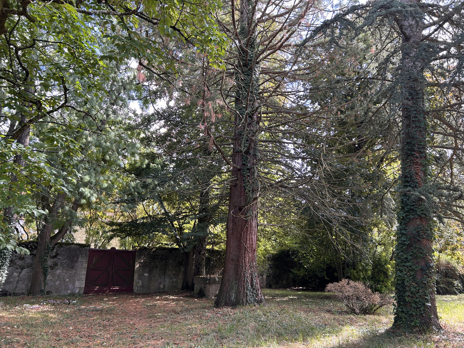 Image_, Propriete, Loches, ref :2168N