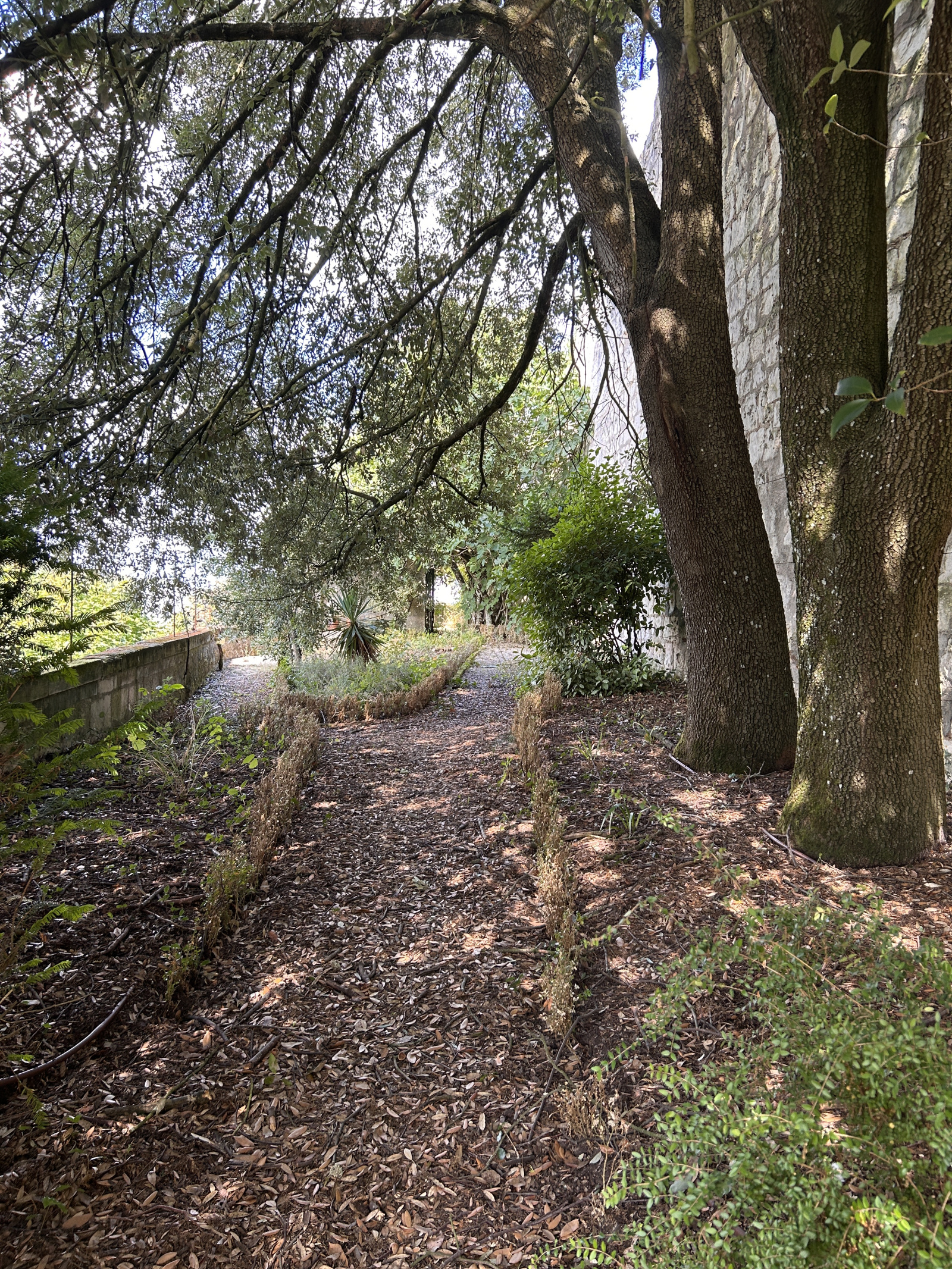 Image_, Propriete, Loches, ref :2168N