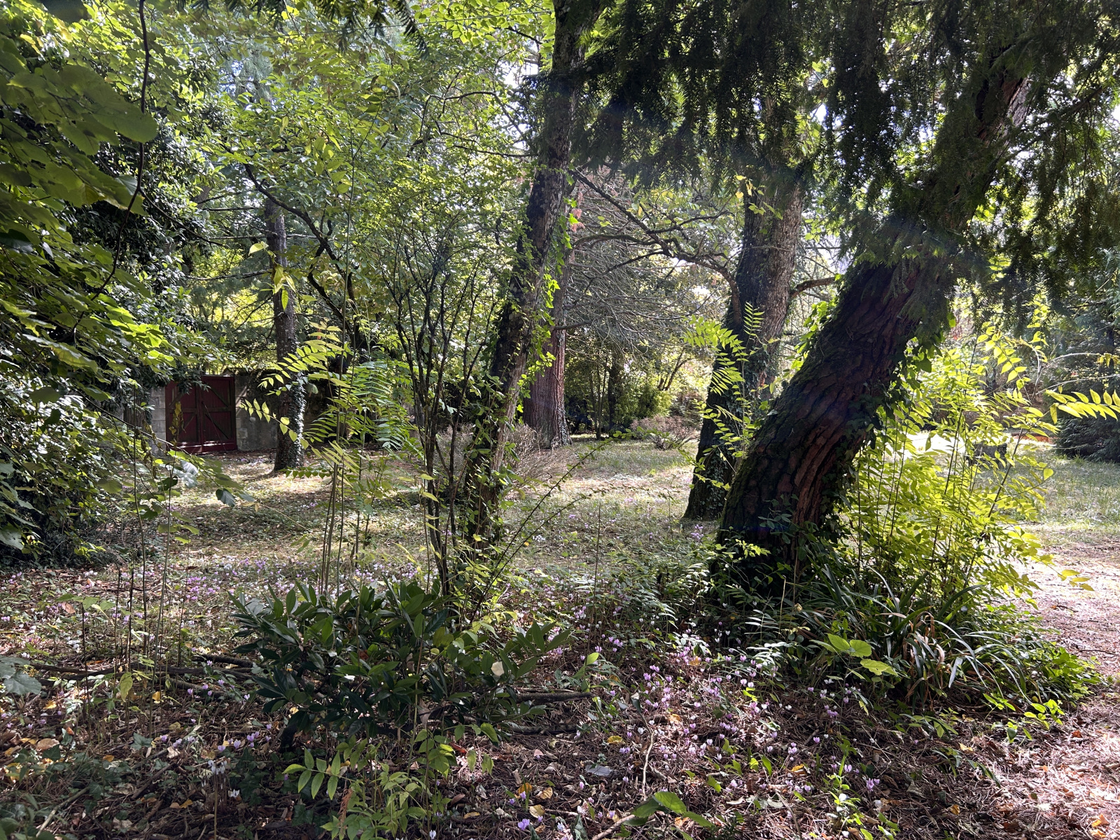 Image_, Propriete, Loches, ref :2168N