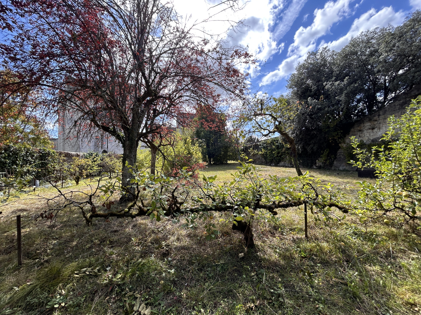 Image_, Propriete, Loches, ref :2168N