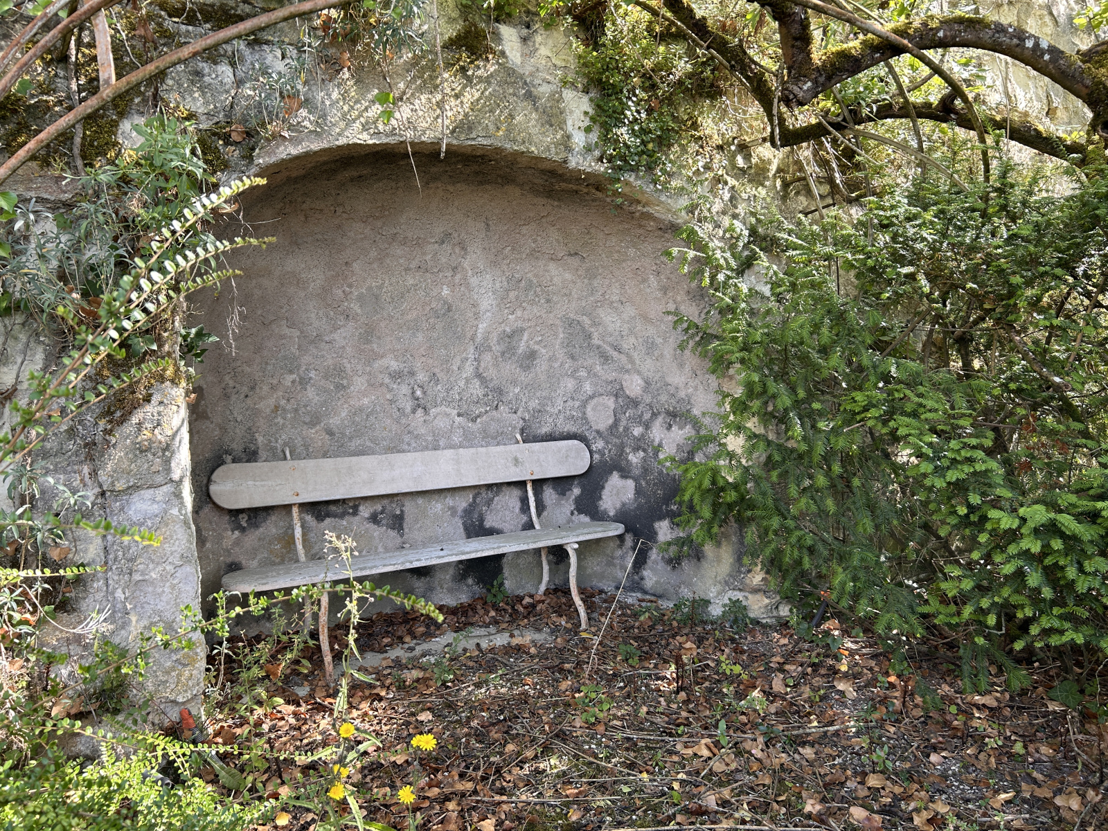 Image_, Propriete, Loches, ref :2168N