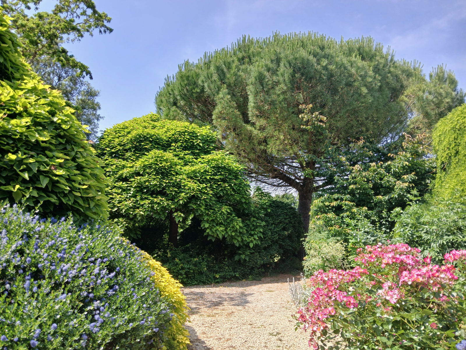 Image_, Maison de village, Ferrière-Larçon, ref :2071N