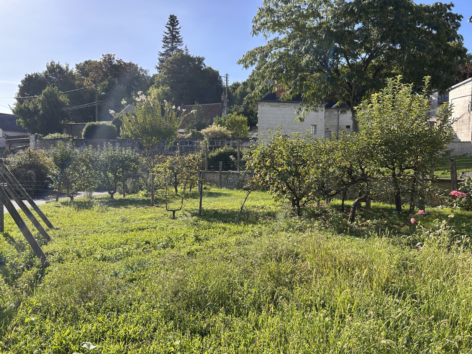 Image_, Maison, Loches, ref :2145N