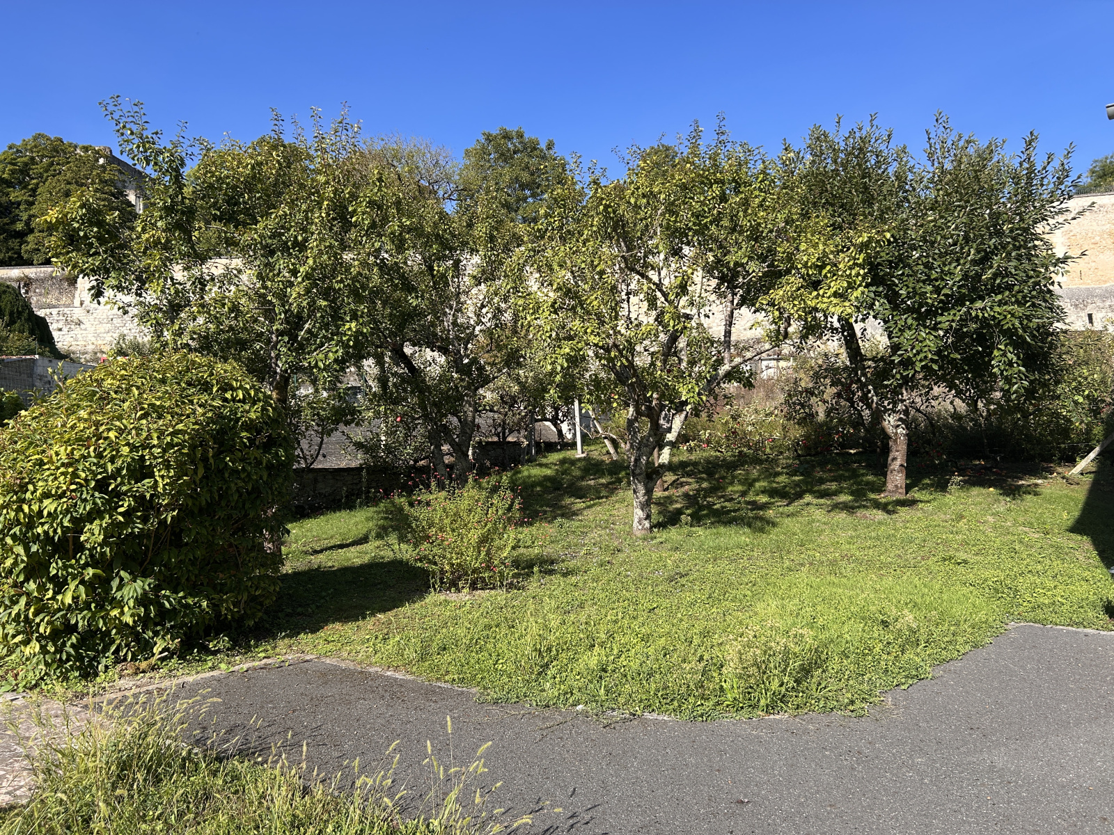 Image_, Maison, Loches, ref :2145N