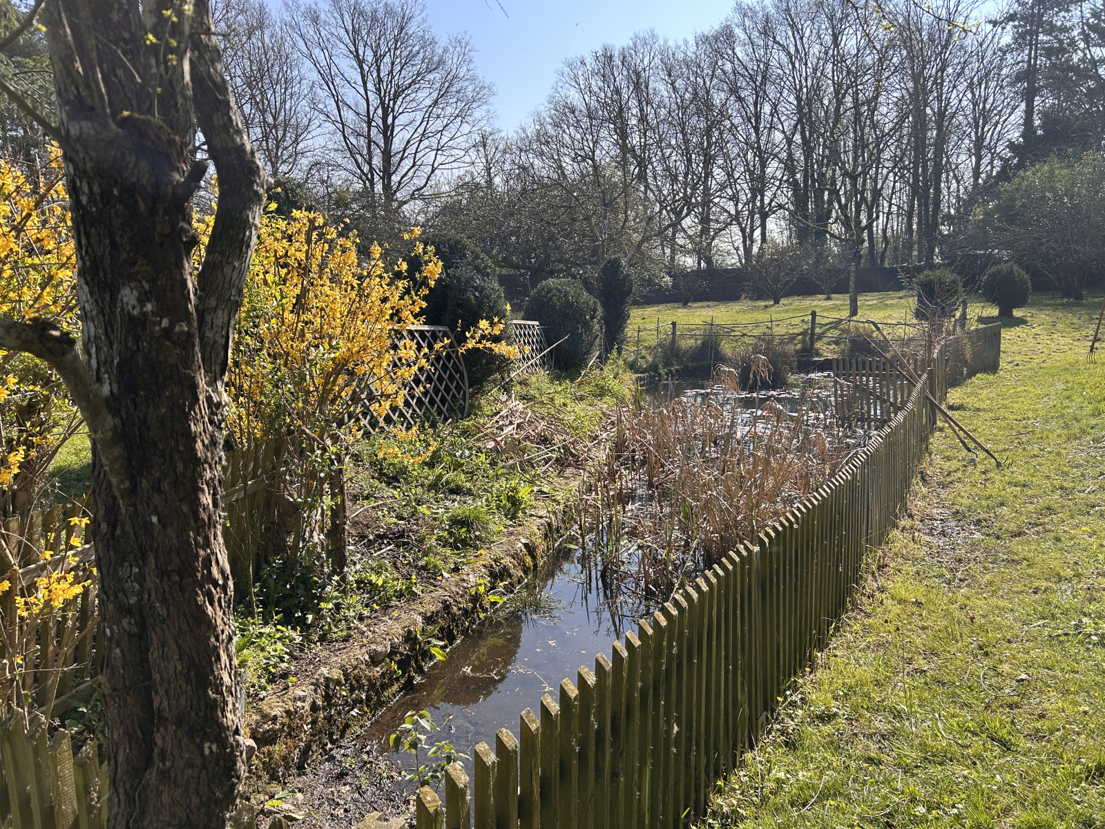 Image_, Maison, Saint-Branchs, ref :2188N