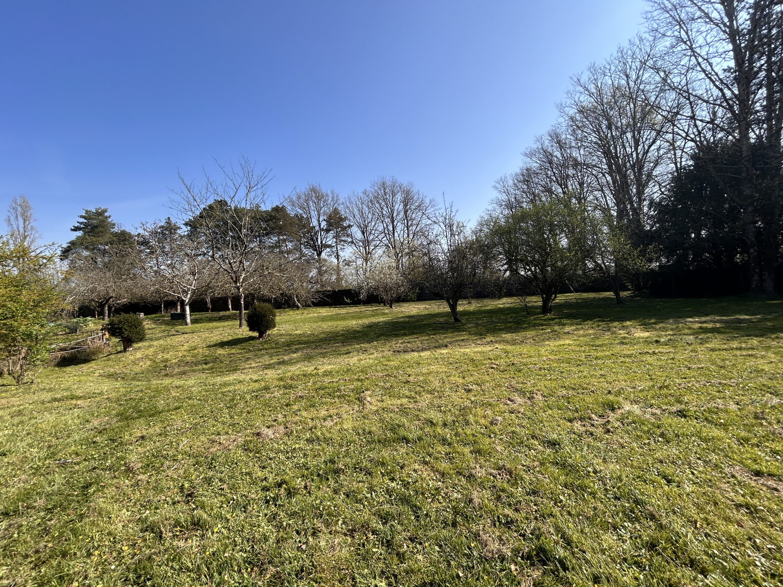 Image_, Maison, Saint-Branchs, ref :2188N