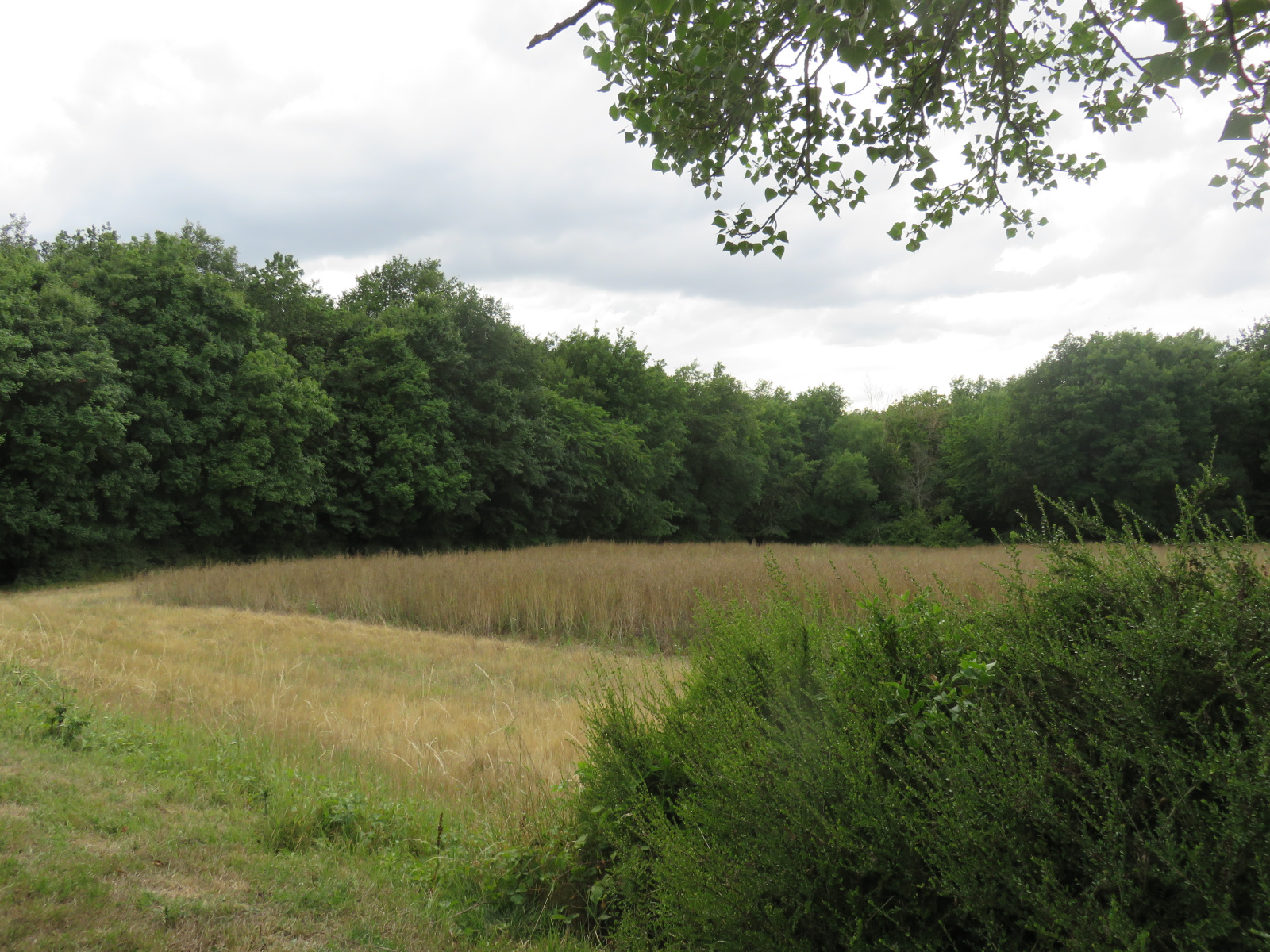 Image_, Maison, Chambourg-sur-Indre, ref :2040N