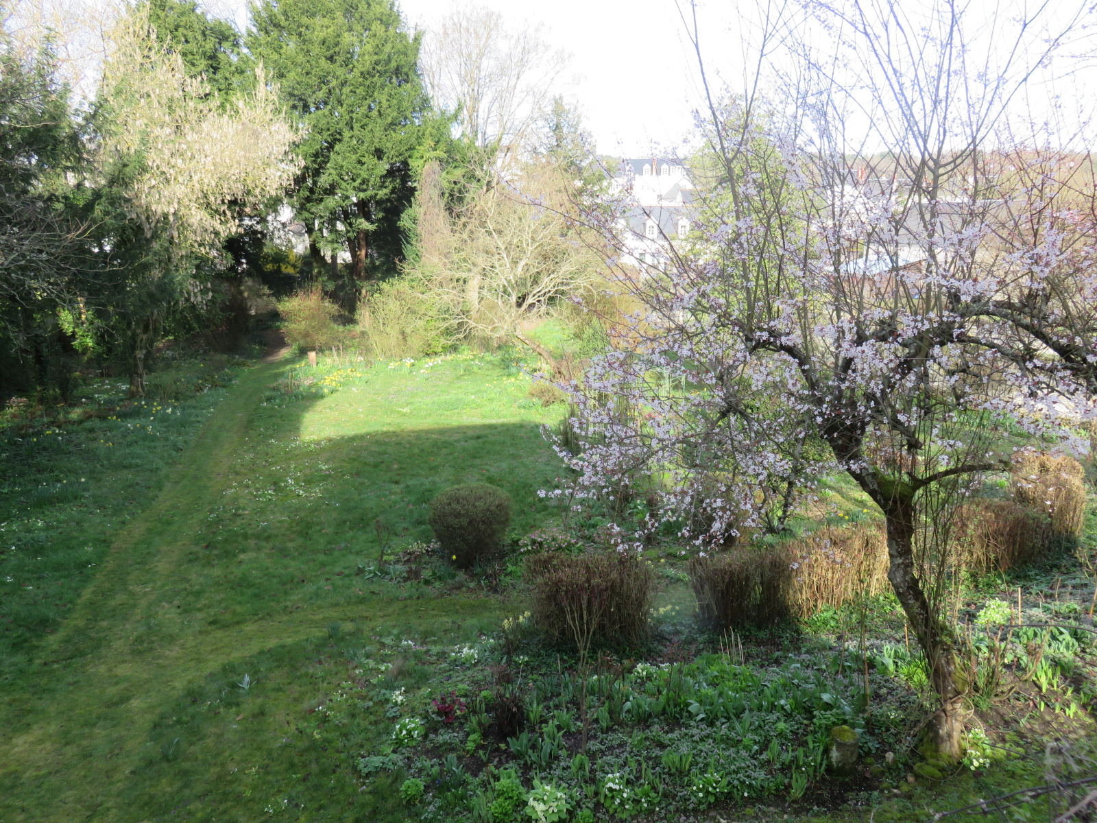 Image_, Maison, Loches, ref :2171N